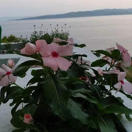 Apartman Cvijanovic Appartamento *